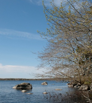 Greenwood Lake