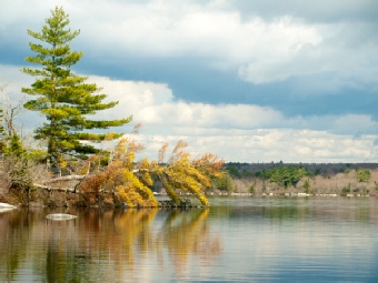 Five River Lake