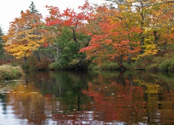 Beaverdam Lake 2